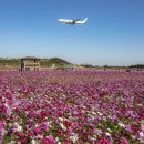 인천국제공항 하늘정원 내 이미지