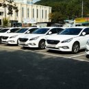 독도 카 서비스 이미지