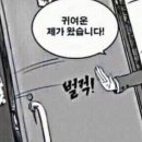 모야 이미지