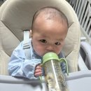 솔리드커피 | 이유식 턱받이 정착! 베이비클로 자기주도턱받이 솔리드라인 실사용 후기