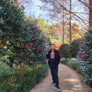 동백꽃공인중개사사무소 이미지