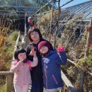 기영농장 이미지