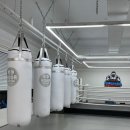 복싱마스터 이미지