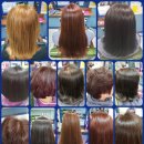 큐사랑염색 이미지