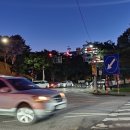 경주연꽃단지 | 경주 동궁과 월지 주차장 시간 입장 야경 연꽃단지