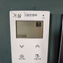 협재 바다의 선물 이미지