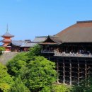 바람도리 이미지