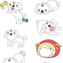 헬로펫 여수 이미지