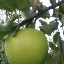 선바위농원 이미지