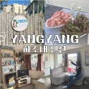 스태이인 | 양양 하조대 펜션 추천, 카라반 글램핑 감성 하조스테이 솔직후기