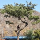 파주골토속촌 이미지