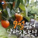 정금족발 | 8월 무드등처럼 지나감(주마등이겠지;)