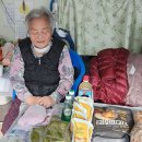 12월17일 활동내역 이미지