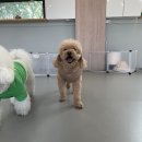 슬기유치원 이미지