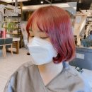 하이브레드 네이버블로그