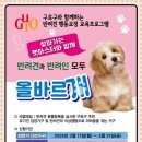 구로-구로-구로-8 데일리안