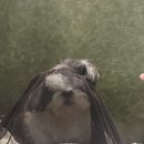 베이프라운지 상남점