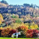 [공연후기] 평창 문화올림픽 대축제(강원도 예술단체 7시간 공연 릴레이)대관령 횡계 특설무대 : 민은홍 소프라노 이미지