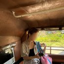 KO 치킨 | 2-2. 끄라비 4아일랜드 롱테일보트 프라이빗 투어 (프라낭해변, 치킨섬, 텁섬, 포다섬)