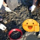 행복비치펜션 이미지