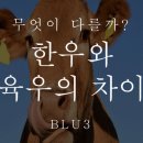 외길한우 이미지