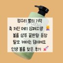 스트롱살롱 | 정수리 볼륨 실종? 엑스트라 스트롱 샴푸로 뿌리부터 짱짱하게 살려본 후기