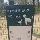 고고하개 이미지