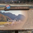 버덩 민박 이미지