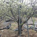 안곡농장 이미지