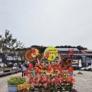 진안군농업기술센터 | 진안군농업기술센터 진안홍삼축제