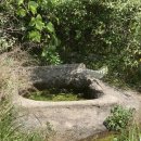 마마라정신건강의학과의원 이미지