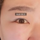(주)메가메디칼 | 미사속눈썹연장 유지력이 좋은 해버눈데이 프리미엄모 만족도 업!