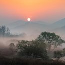 김해 화포천습지 생태박물관 이미지