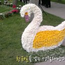 이식태양광발전소 이미지