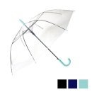 모닝글로리 이미지