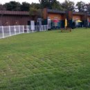 랩도그빌 이미지