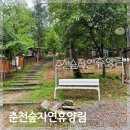 춘천숲자연휴양림 휴양관 구절초 가성비 좋은 글램핑 명소