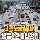 고속도로에서 모르면 손해인 핵꿀팁 이미지