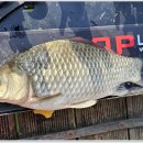 삼인낚시터 이미지