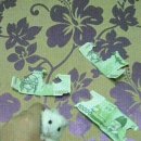 조례사거리 | [후기] 순천 조례동 맛집 술집 / 투다리 조례점