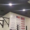 RF 트레이닝 스튜디오 | 골프트레이닝 - RF트레이닝 스튜디오 4회 수강후기 / 역삼 PT