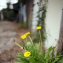 용산-198 이미지