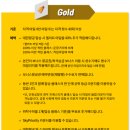스카이플래티늄항공