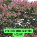 서현마을회관 이미지