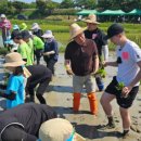 인안초등학교 이미지