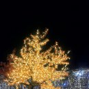 2017. 12. 1 울산대공원 빛축제 이미지