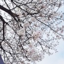 도마2동 행정복지센터 이미지