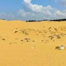 요정농장 이미지