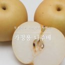 당도 좋은 대추방울 토마토 이미지