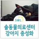 개명동물병원 이미지